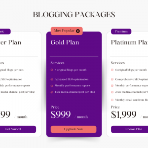 Blogging Services - Platinum Level