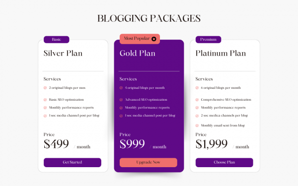 Blogging Services - Silver Level